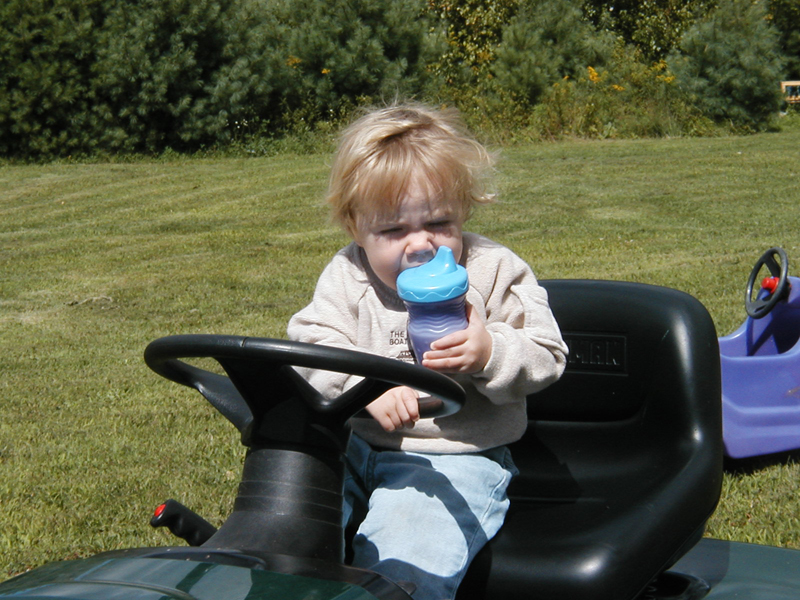 Picture 5593
