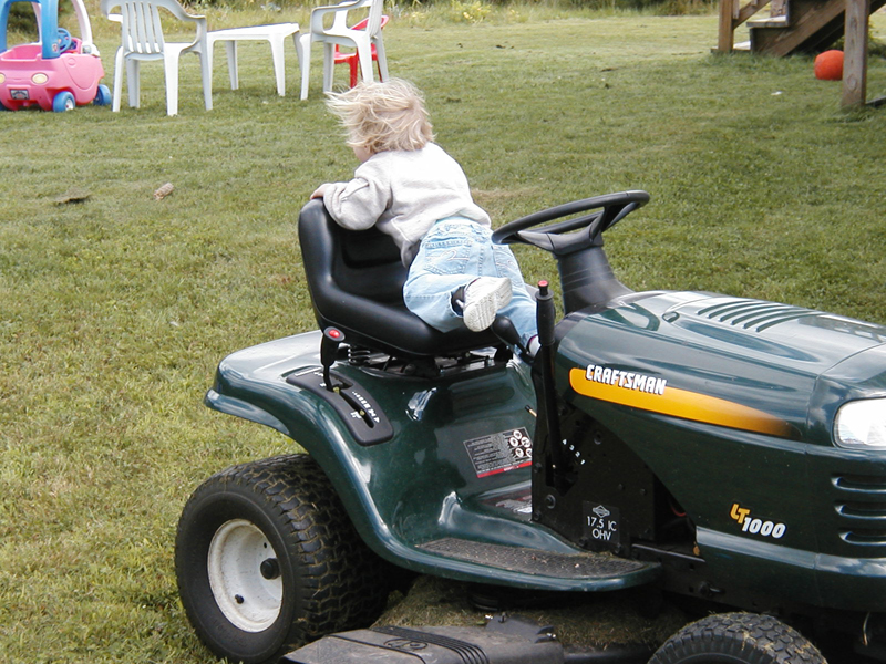 Picture 5595