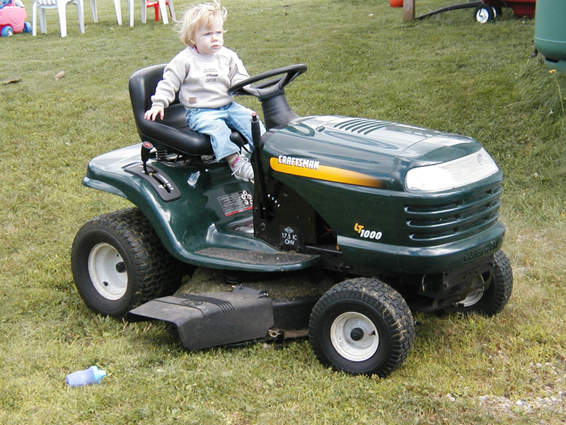 Picture 5597