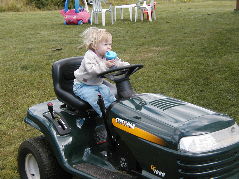Picture 5598