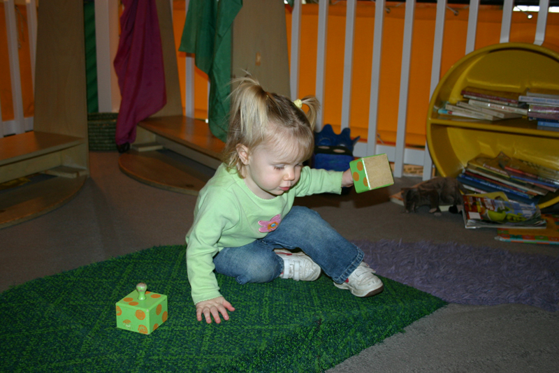 Picture 8311
