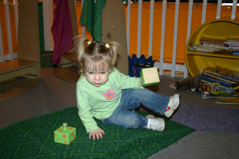 Picture 8312