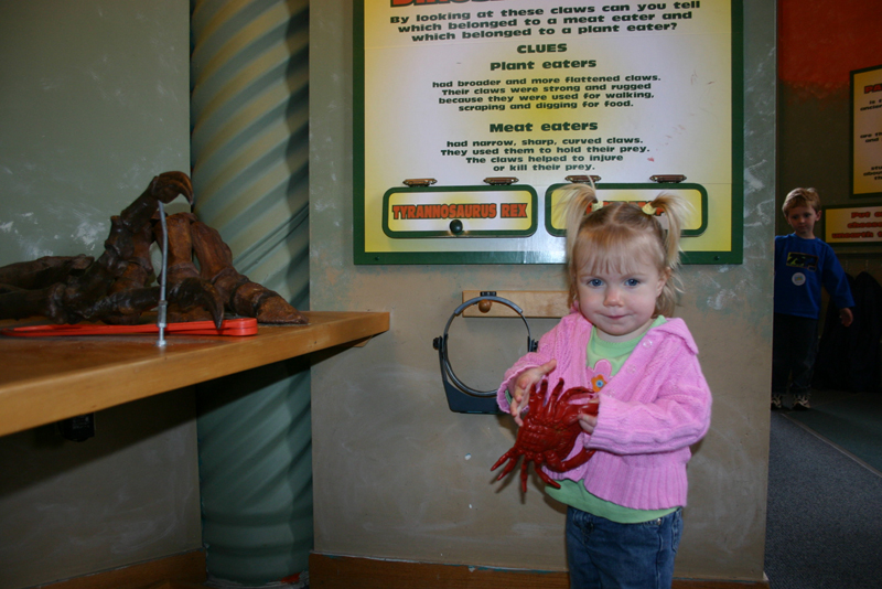 Picture 8380
