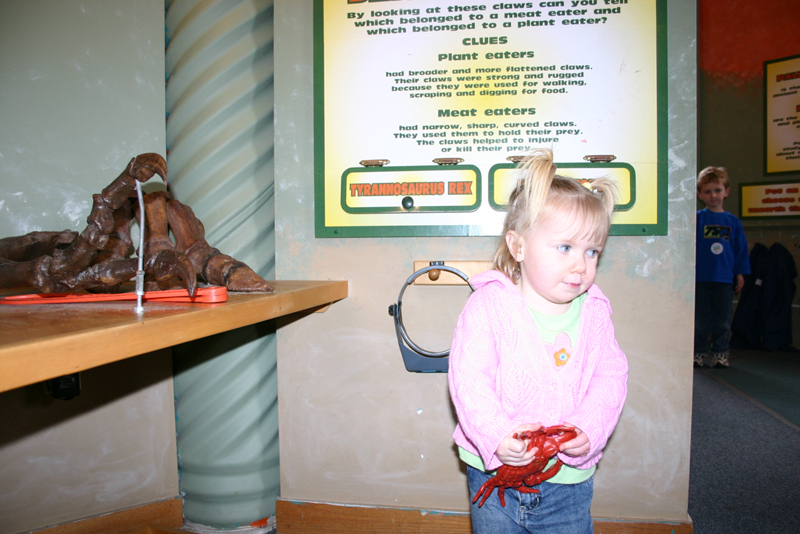 Picture 8381