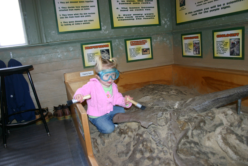 Picture 8395