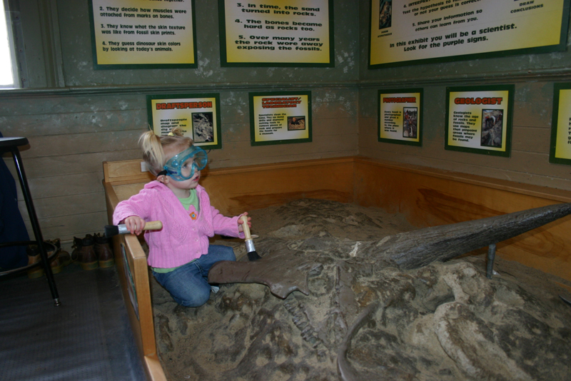 Picture 8396