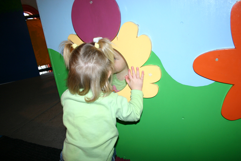 Picture 8426