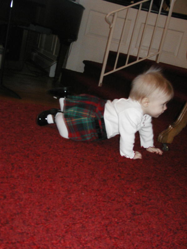 Picture 2294
