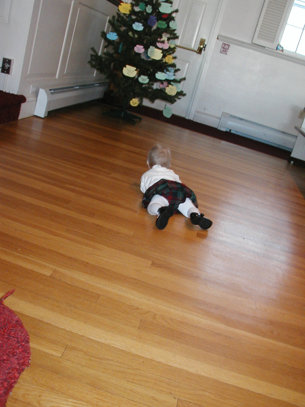 Picture 2298
