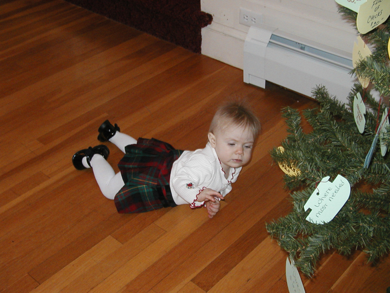 Picture 2304