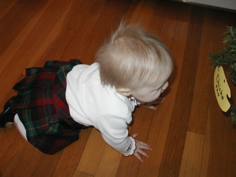 Picture 2305