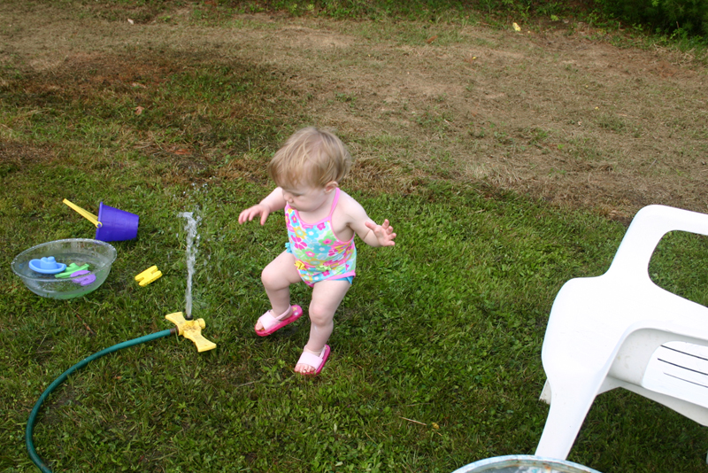 Picture 3394