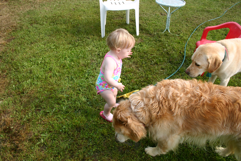 Picture 3416
