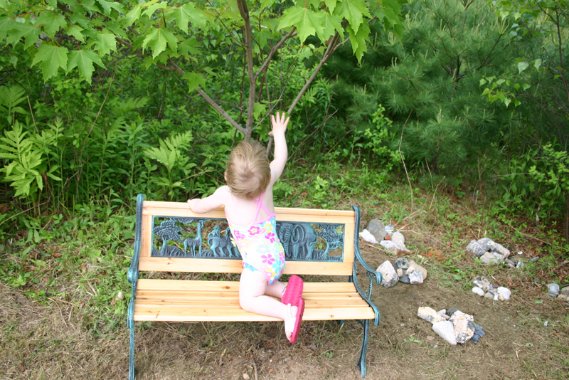 Picture 3429