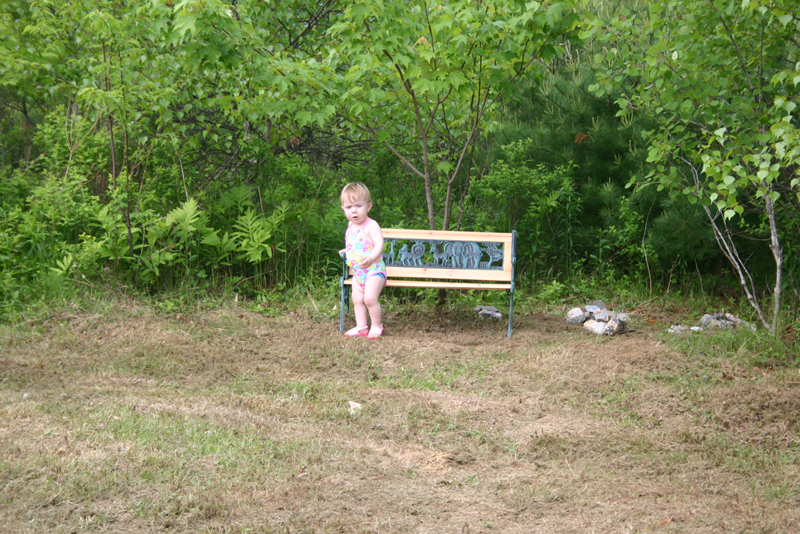 Picture 3441