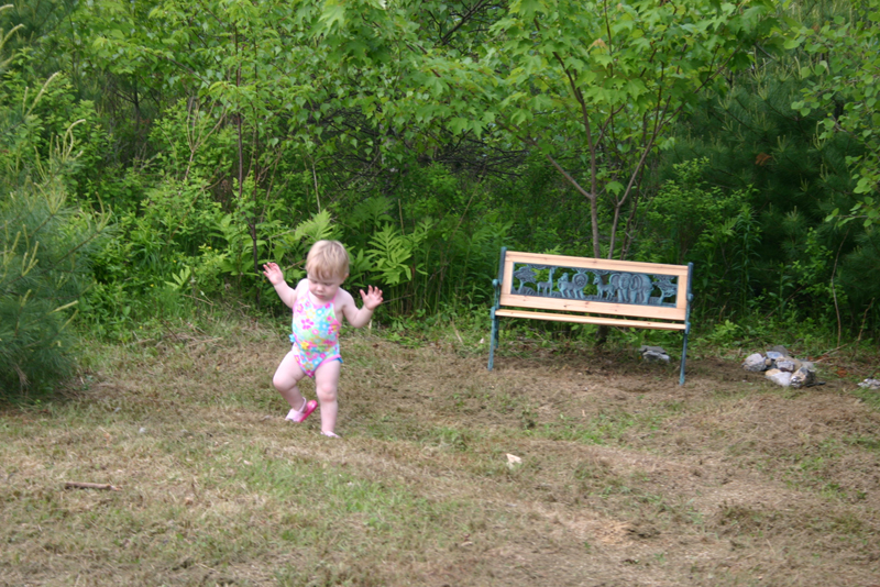 Picture 3447