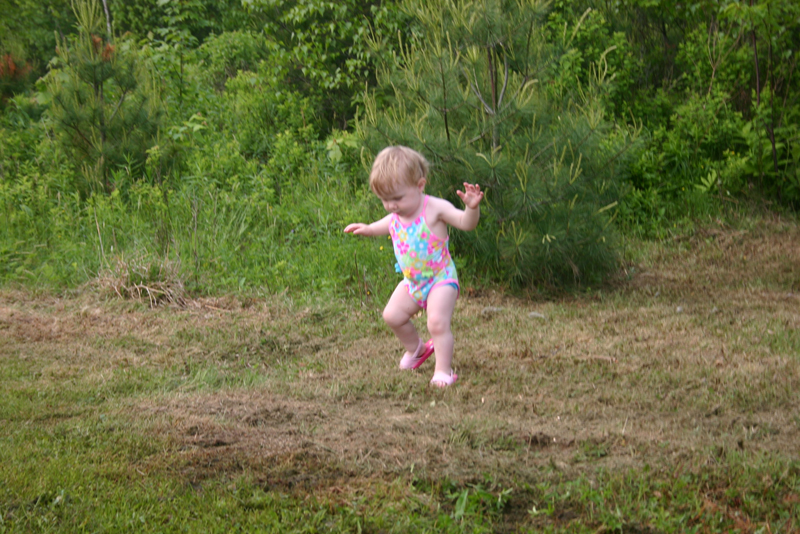 Picture 3450