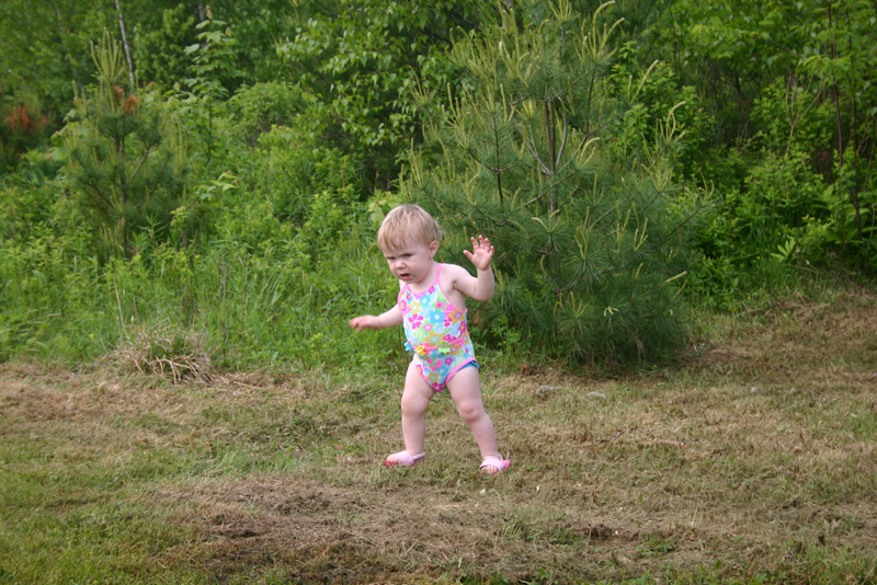 Picture 3451