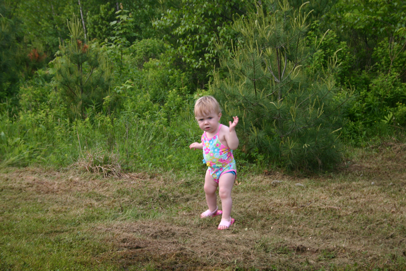 Picture 3452