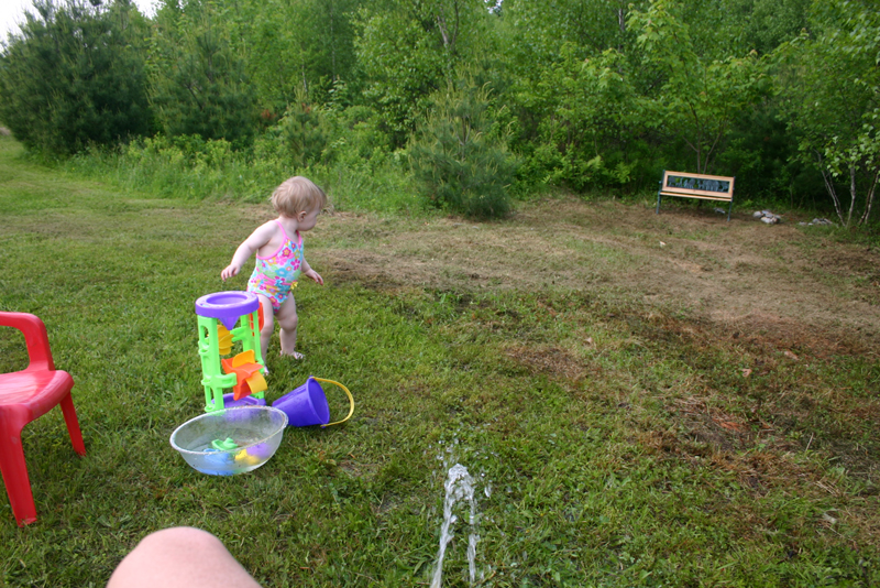 Picture 3457