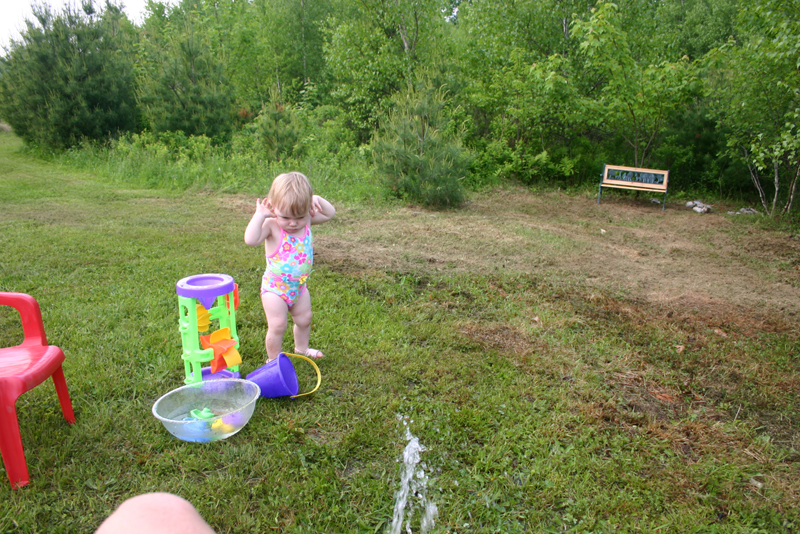 Picture 3460