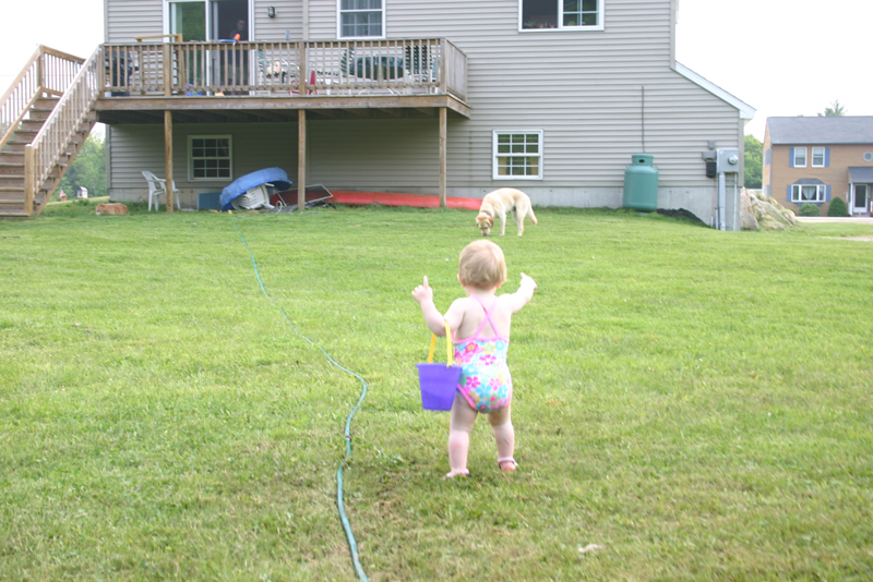 Picture 3485