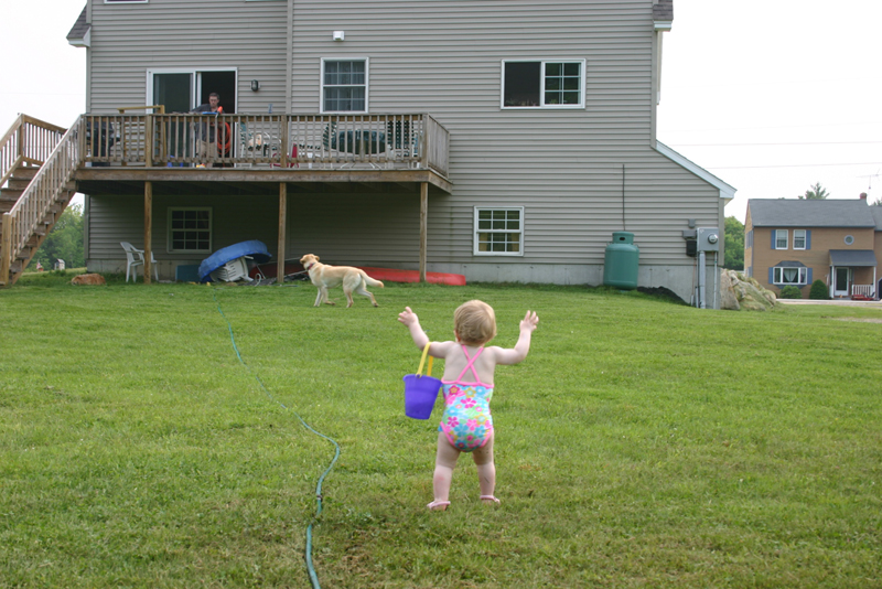 Picture 3486