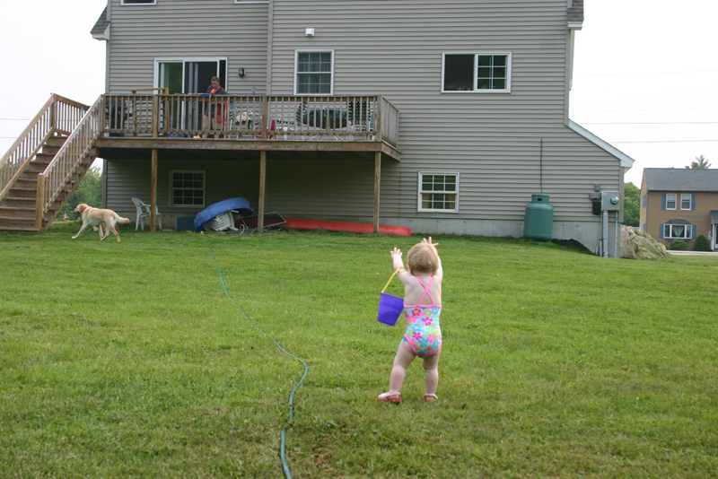 Picture 3488