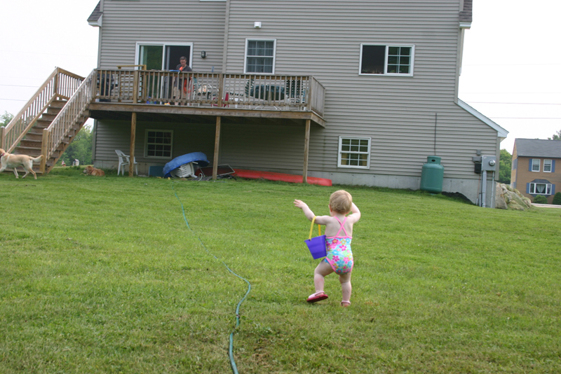 Picture 3489