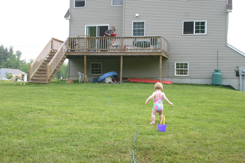 Picture 3491