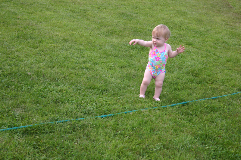 Picture 3498