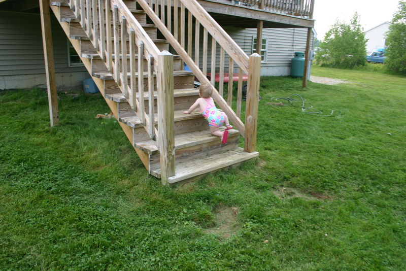 Picture 3516