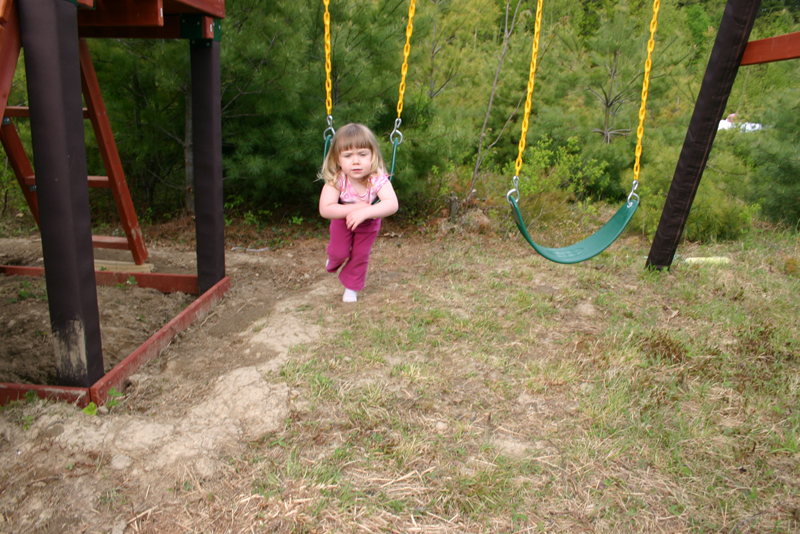 Picture 12784