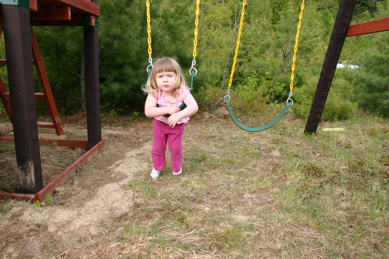Picture 12785