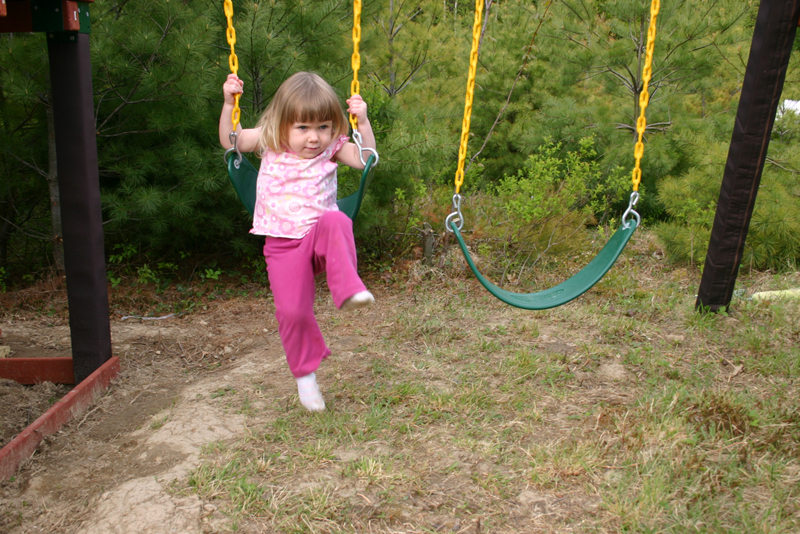 Picture 12786