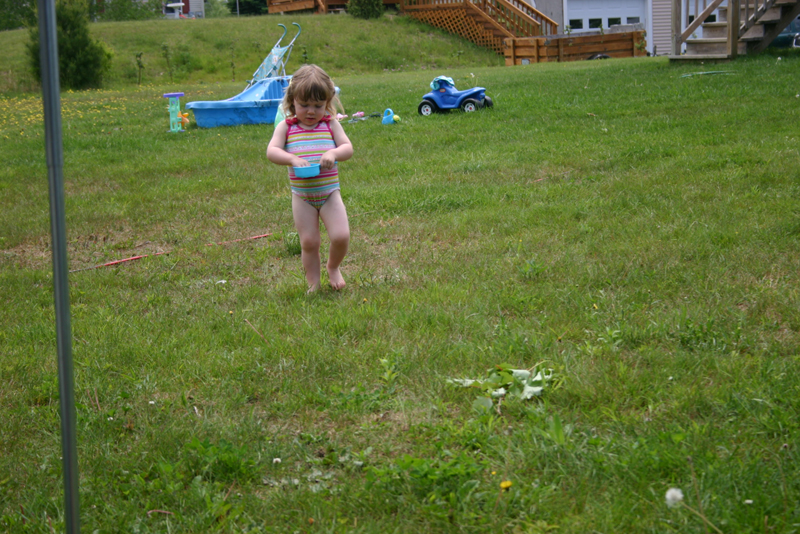 Picture 13467