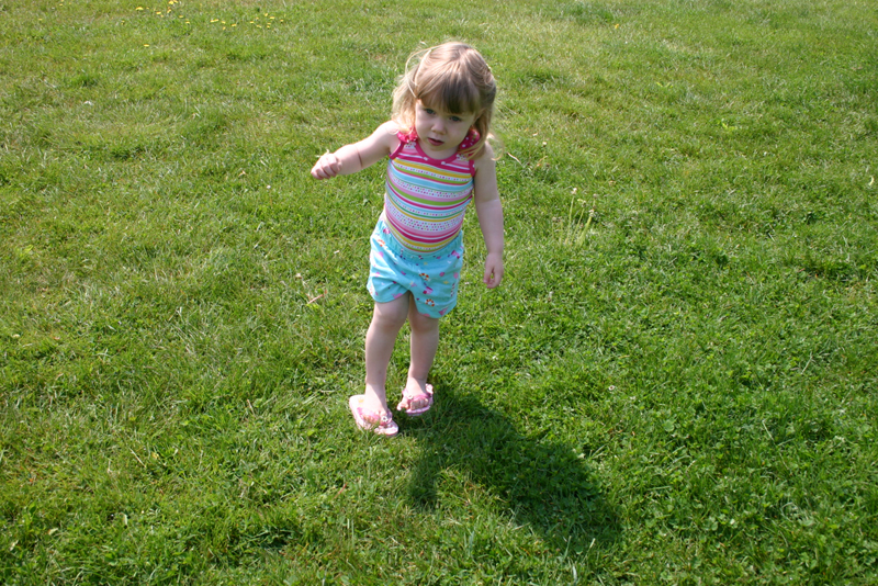 Picture 13591