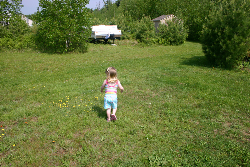 Picture 13597