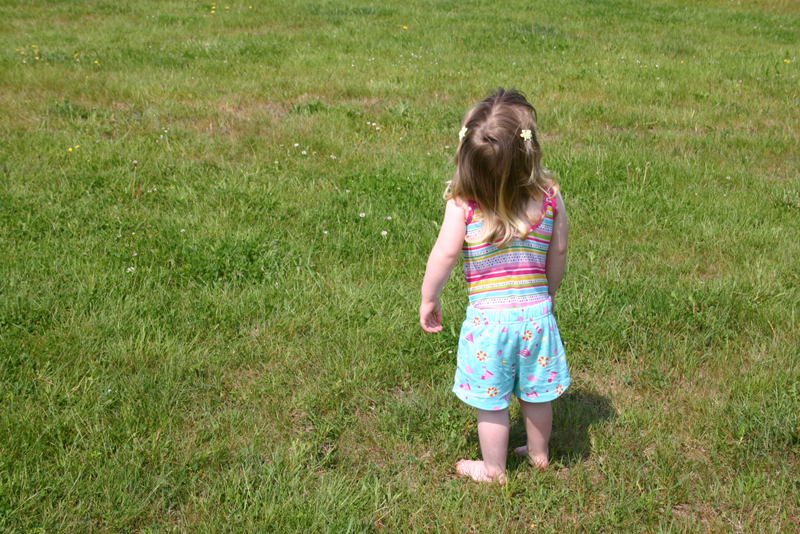 Picture 13623