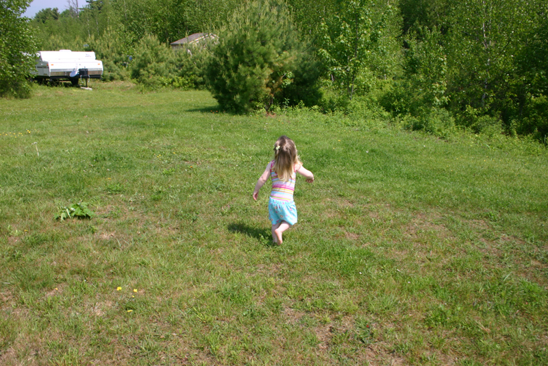 Picture 13628
