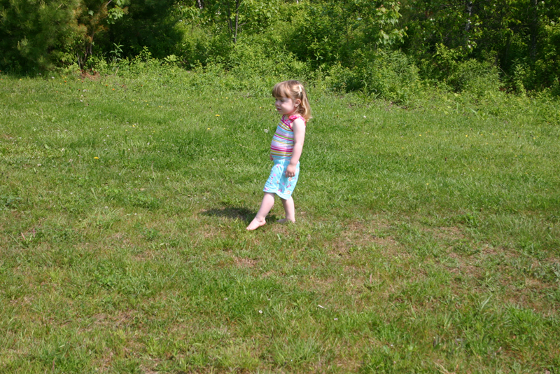 Picture 13629