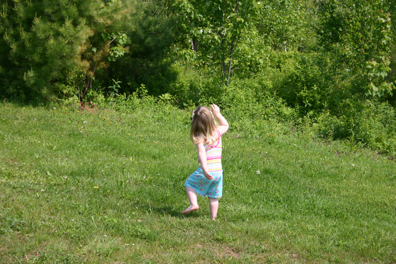 Picture 13631