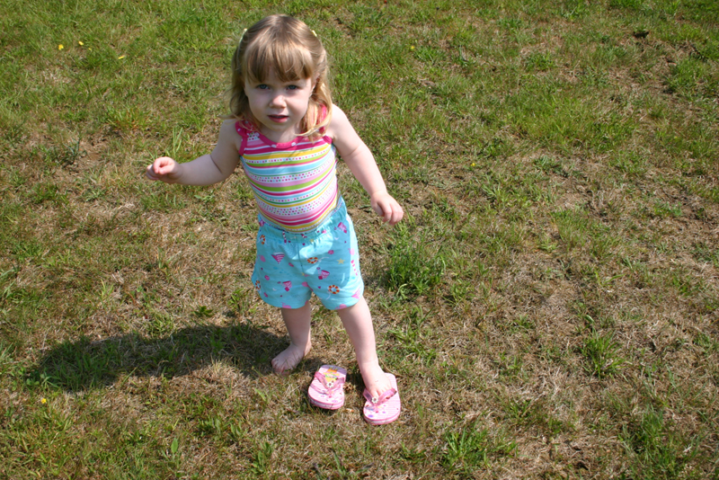 Picture 13633