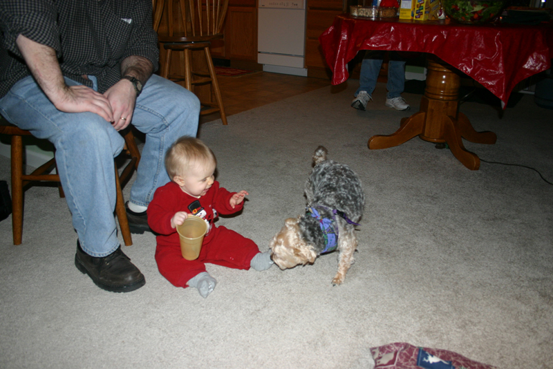 Picture 1551