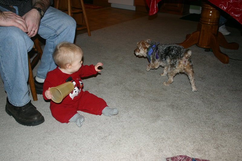 Picture 1552