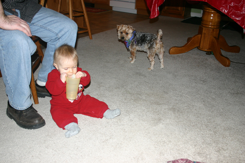 Picture 1553