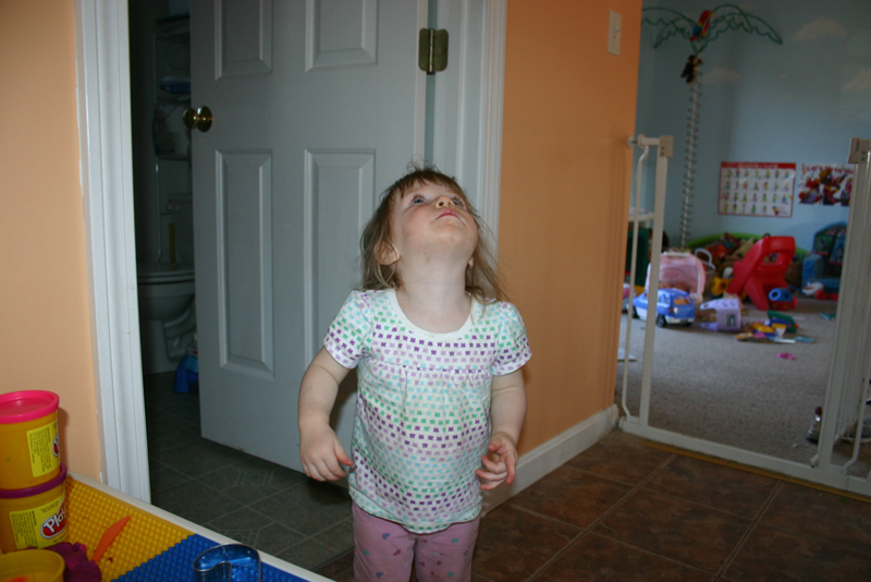 Picture 11332