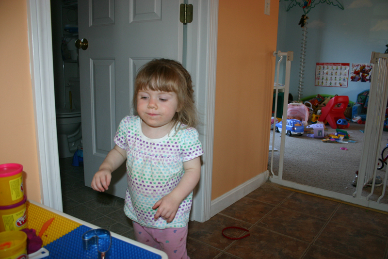 Picture 11333