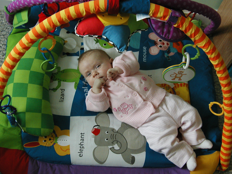 Picture 944