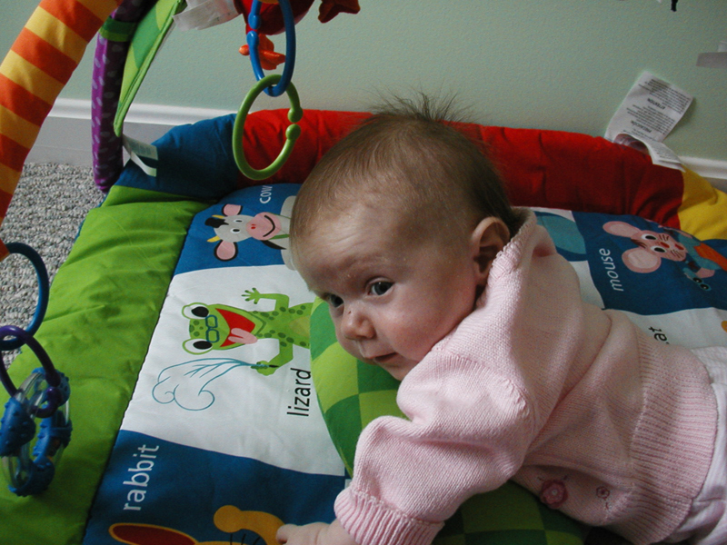 Picture 952